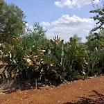 Ferienhaus Trullo Gioioso