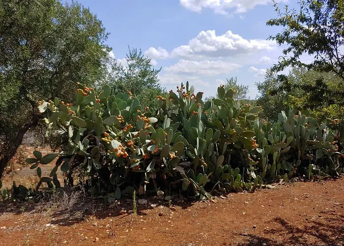 Holiday home Trullo Gioioso