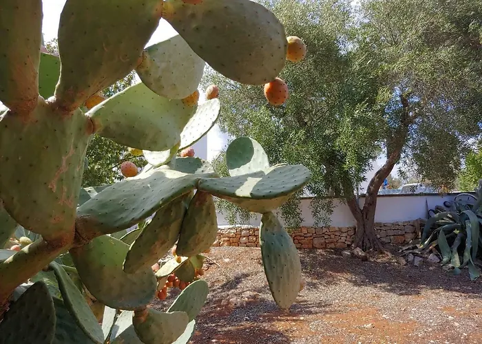 Holiday home Trullo Gioioso